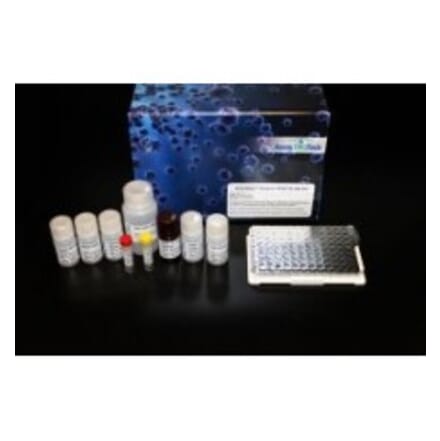 Standard Curve - Rat IFN gamma ELISA Kit (Lum-8204) - Antibodies.com