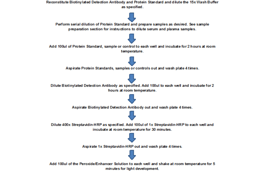 Protocol Summary - Human RANTES ELISA Kit (Lum-8157) - Antibodies.com