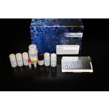 Standard Curve - Human BD-3 ELISA Kit (Lum-8103) - Antibodies.com
