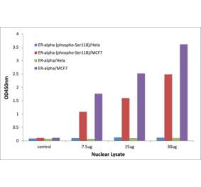 Validation Data - Estrogen Receptor alpha (phospho Ser118) ELISA Kit (TFE-7168) - Antibodies.com