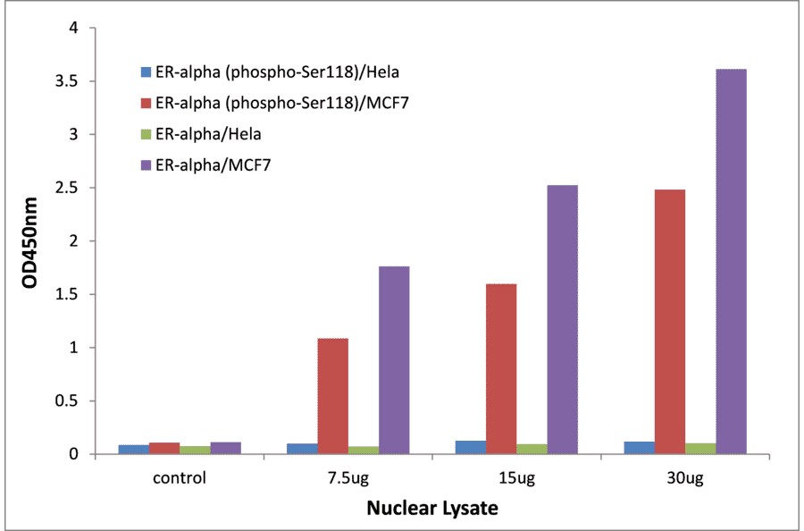 Validation Data - Estrogen Receptor alpha (phospho Ser118) ELISA Kit (TFE-7168) - Antibodies.com