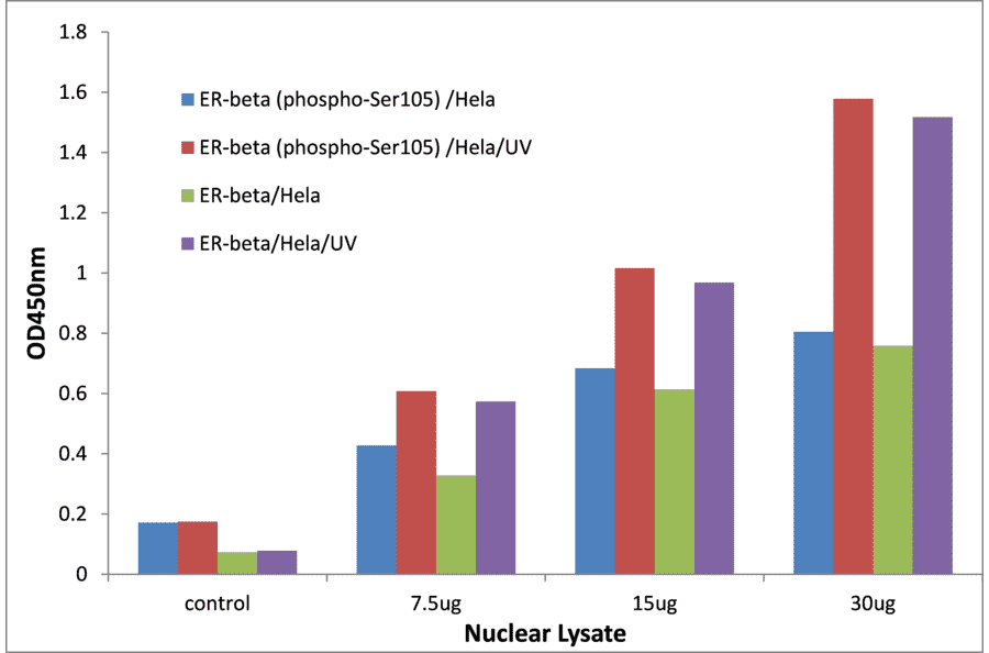 Validation Data - Estrogen Receptor beta (phospho Ser105) ELISA Kit (TFE-7042) - Antibodies.com