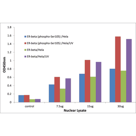 Validation Data - Estrogen Receptor beta (phospho Ser105) ELISA Kit (TFE-7042) - Antibodies.com