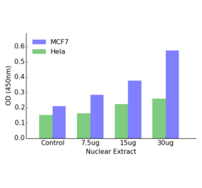 Validation Data - Androgen Receptor (phospho Ser650) ELISA Kit (TFE-7019) - Antibodies.com