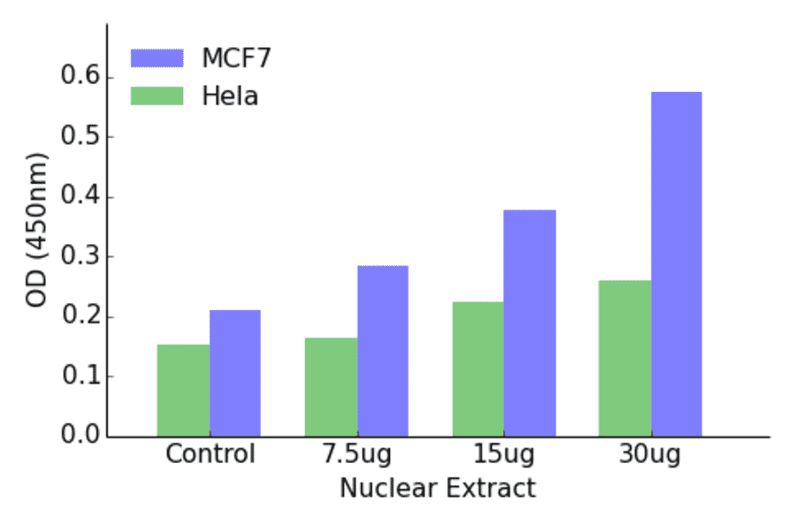 Validation Data - Androgen Receptor (phospho Ser650) ELISA Kit (TFE-7019) - Antibodies.com