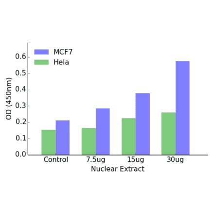Validation Data - Androgen Receptor (phospho Ser650) ELISA Kit (TFE-7019) - Antibodies.com