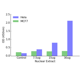 Validation Data - Androgen Receptor (phospho Tyr363) ELISA Kit (TFE-7020) - Antibodies.com