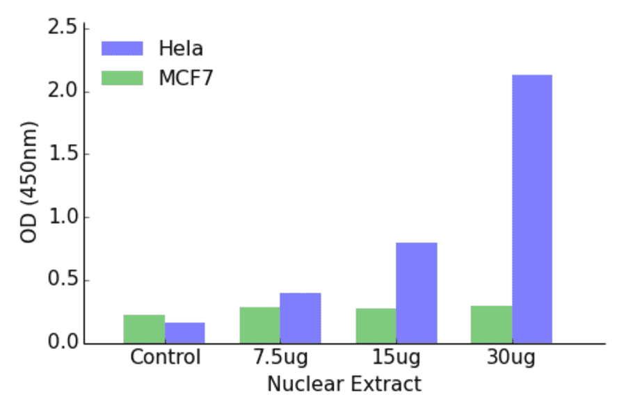 Validation Data - Androgen Receptor (phospho Tyr363) ELISA Kit (TFE-7020) - Antibodies.com