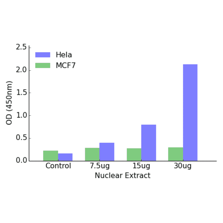 Validation Data - Androgen Receptor (phospho Tyr363) ELISA Kit (TFE-7020) - Antibodies.com