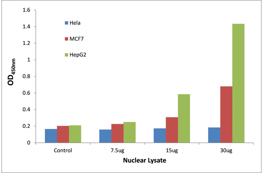 Validation Data - Telomeric Repeat Binding Factor 1 ELISA Kit (TFE-7194) - Antibodies.com