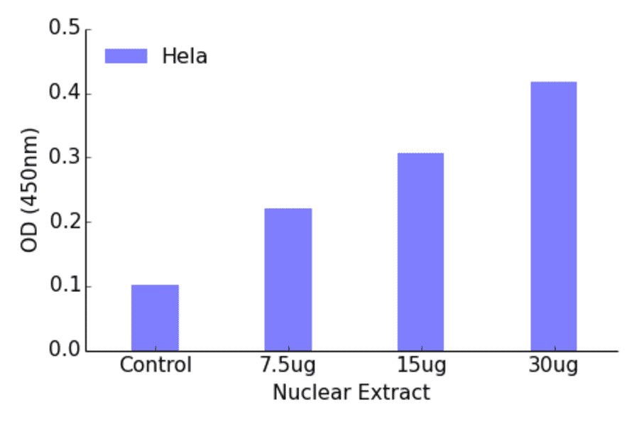 Validation Data - NF-kappaB p100 (phospho Ser872) ELISA Kit (TFE-7107) - Antibodies.com