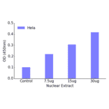 Validation Data - NF-kappaB p100 (phospho Ser872) ELISA Kit (TFE-7107) - Antibodies.com