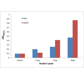 Validation Data - NF-kappaB p65 (phospho Ser529) ELISA Kit (TFE-7113) - Antibodies.com