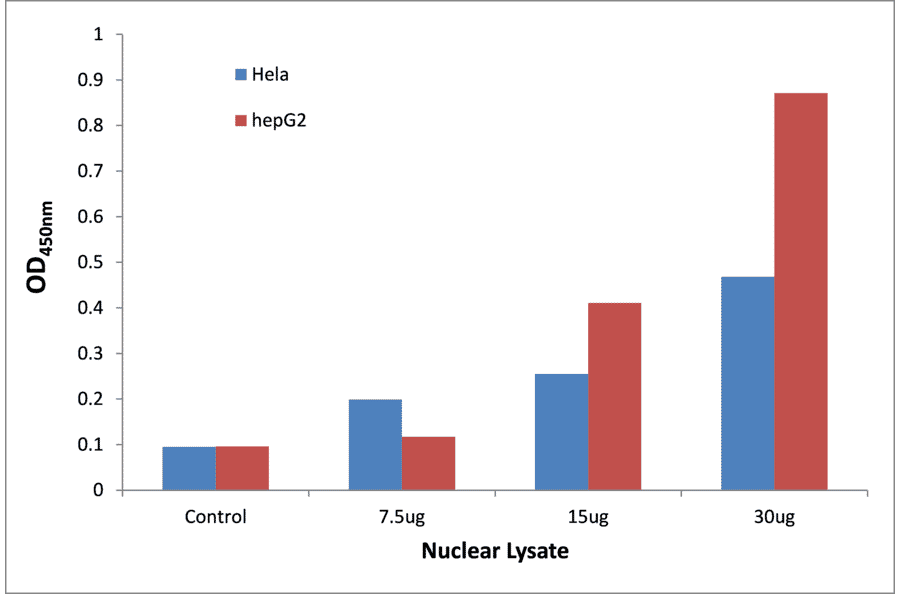 Validation Data - NF-kappaB p65 (phospho Ser529) ELISA Kit (TFE-7113) - Antibodies.com