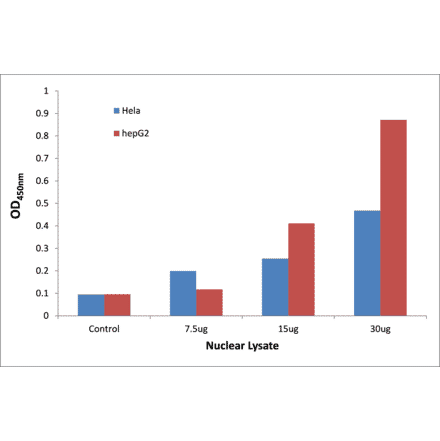Validation Data - NF-kappaB p65 (phospho Ser529) ELISA Kit (TFE-7113) - Antibodies.com