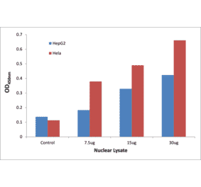 Validation Data - NF-kappaB p65 (phospho Ser276) ELISA Kit (TFE-7114) - Antibodies.com