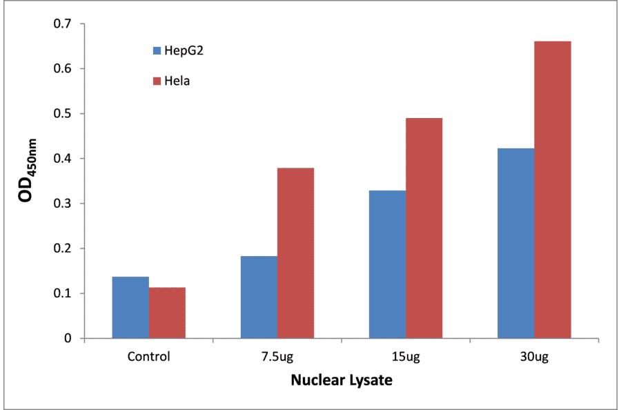 Validation Data - NF-kappaB p65 (phospho Ser276) ELISA Kit (TFE-7114) - Antibodies.com