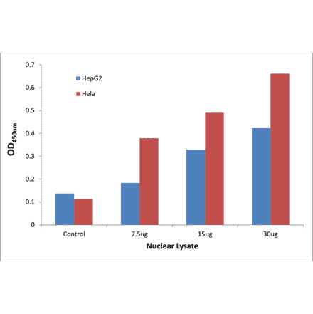 Validation Data - NF-kappaB p65 (phospho Ser276) ELISA Kit (TFE-7114) - Antibodies.com