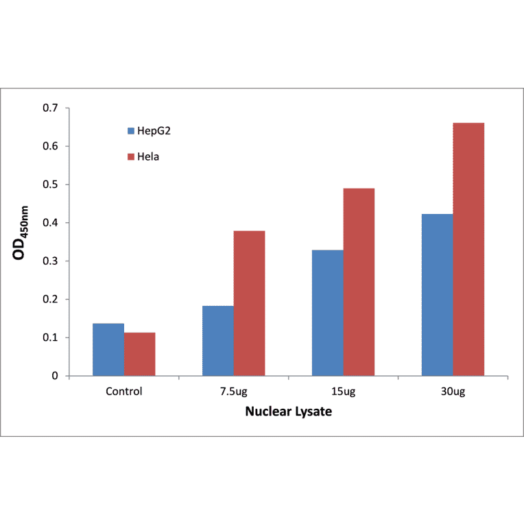 Validation Data - NF-kappaB p65 (phospho Ser276) ELISA Kit (TFE-7114) - Antibodies.com