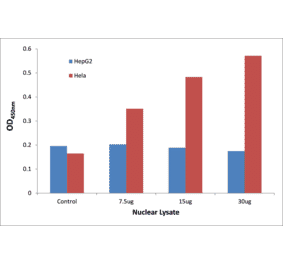 Validation Data - NF-kappaB p65 (phospho Ser468) ELISA Kit (TFE-7115) - Antibodies.com