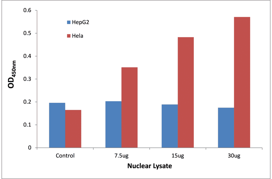 Validation Data - NF-kappaB p65 (phospho Ser468) ELISA Kit (TFE-7115) - Antibodies.com
