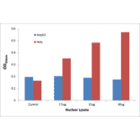 Validation Data - NF-kappaB p65 (phospho Ser468) ELISA Kit (TFE-7115) - Antibodies.com