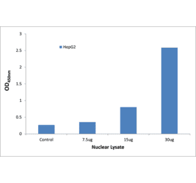 Validation Data - NF-kappaB p65 (phospho Ser311) ELISA Kit (TFE-7183) - Antibodies.com