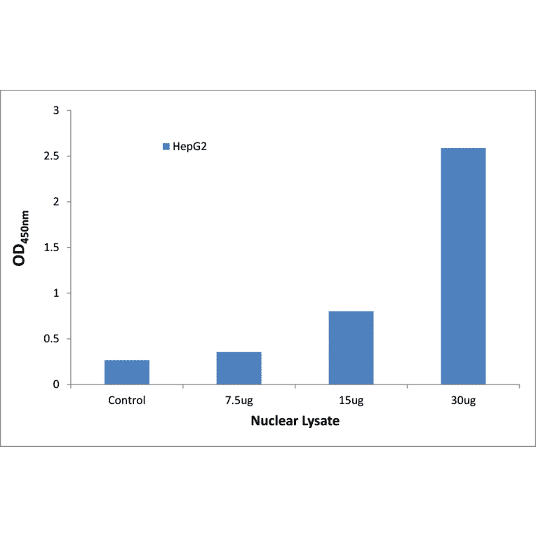 Validation Data - NF-kappaB p65 (phospho Ser311) ELISA Kit (TFE-7183) - Antibodies.com