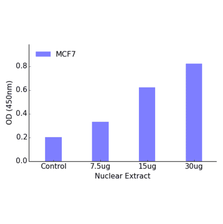 Validation Data - Thyroid Hormone Receptor beta ELISA Kit (TFE-7163) - Antibodies.com