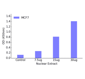 Validation Data - Retinoic Acid Receptor beta ELISA Kit (TFE-7161) - Antibodies.com