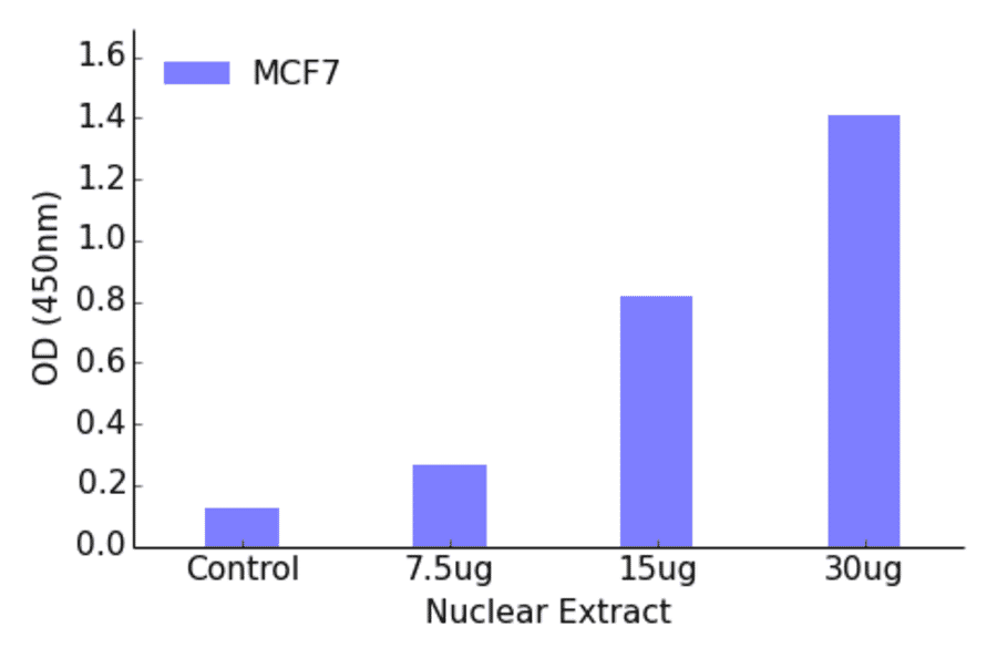 Validation Data - Retinoic Acid Receptor beta ELISA Kit (TFE-7161) - Antibodies.com