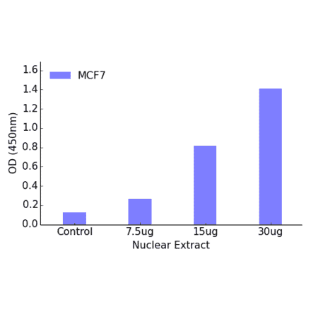 Validation Data - Retinoic Acid Receptor beta ELISA Kit (TFE-7161) - Antibodies.com