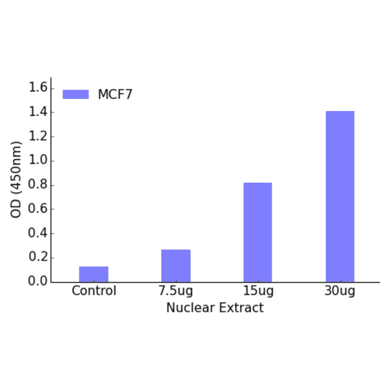 Validation Data - Retinoic Acid Receptor beta ELISA Kit (TFE-7161) - Antibodies.com