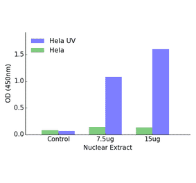 Validation Data - ATF2 (phospho Thr69 or 51) ELISA Kit (TFE-7026) - Antibodies.com