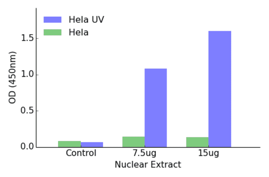 Validation Data - ATF2 (phospho Thr69 or 51) ELISA Kit (TFE-7026) - Antibodies.com