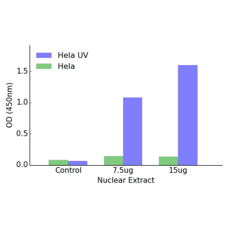 Validation Data - ATF2 (phospho Thr69 or 51) ELISA Kit (TFE-7026) - Antibodies.com