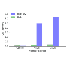 Validation Data - ATF2 (phospho Thr71 or 53) ELISA Kit (TFE-7027) - Antibodies.com