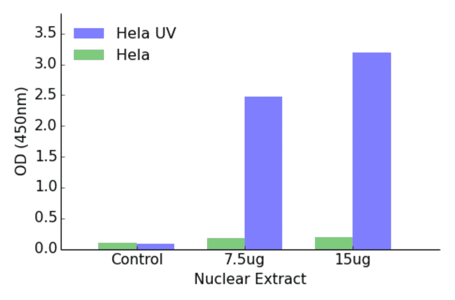 Validation Data - ATF2 (phospho Thr71 or 53) ELISA Kit (TFE-7027) - Antibodies.com