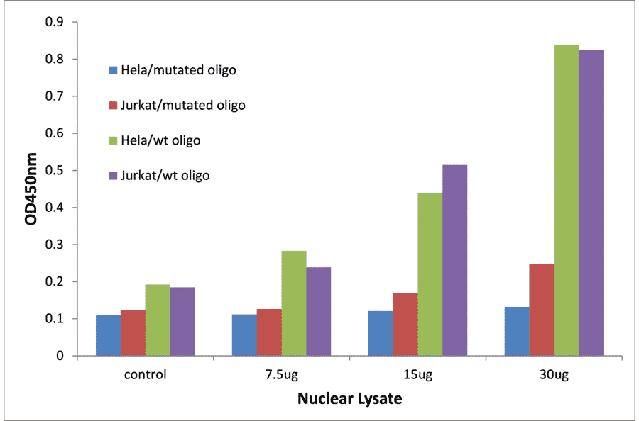 Validation Data - Retinoid X Receptor gamma ELISA Kit (TFE-7165) - Antibodies.com