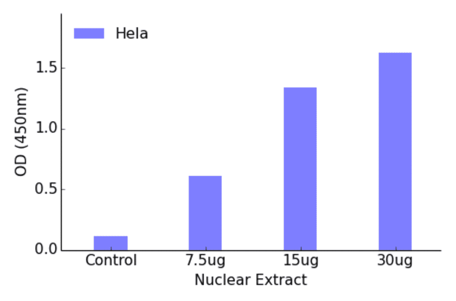 Validation Data - FKHRL1 (phospho Ser253) ELISA Kit (TFE-7072) - Antibodies.com
