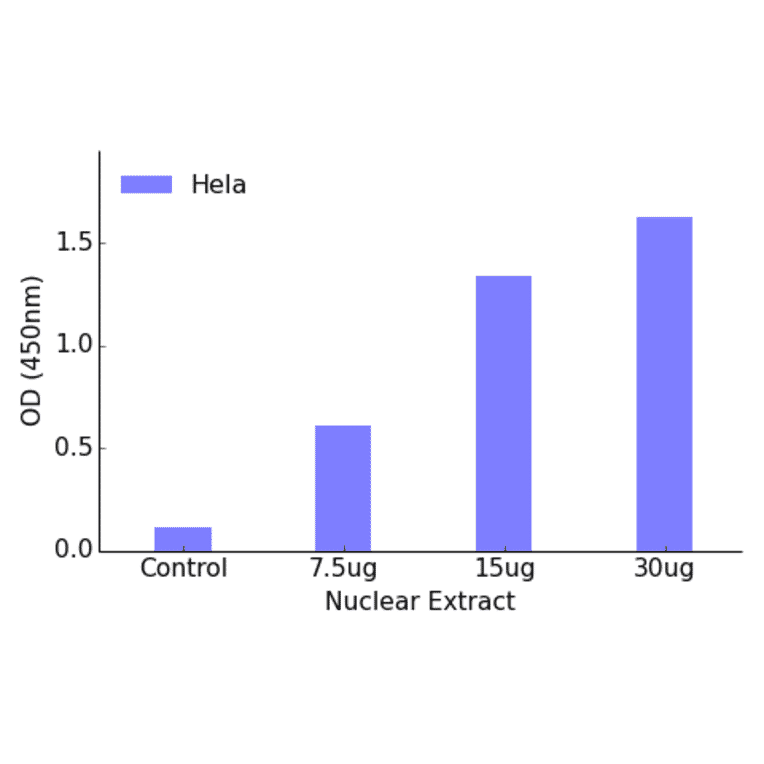 Validation Data - FKHRL1 (phospho Ser253) ELISA Kit (TFE-7072) - Antibodies.com