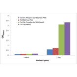 Validation Data - STAT5A (phospho Ser780) ELISA Kit (TFE-7153) - Antibodies.com