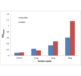 Validation Data - STAT5B (phospho Ser731) ELISA Kit (TFE-7155) - Antibodies.com