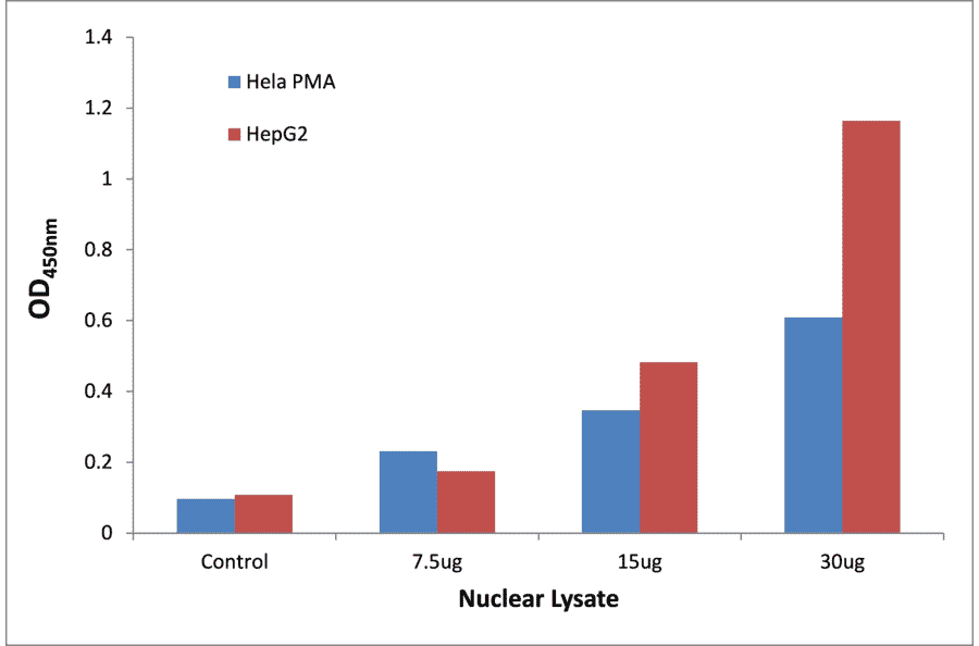 Validation Data - STAT5B (phospho Ser731) ELISA Kit (TFE-7155) - Antibodies.com