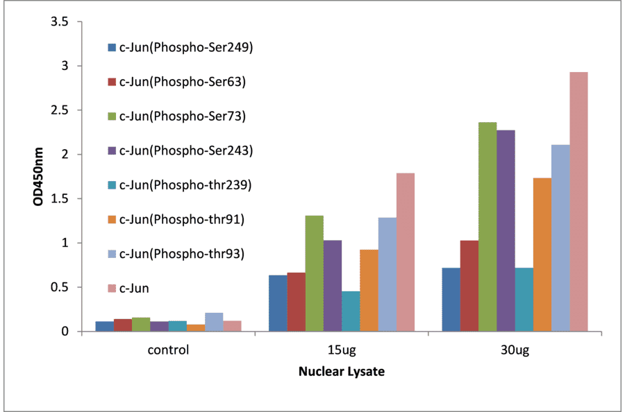 Validation Data - c-Jun (phospho Thr239) ELISA Kit (TFE-7009) - Antibodies.com