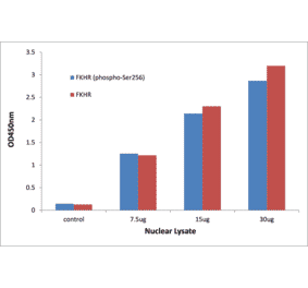 Validation Data - FOXO1 (phospho Ser256) ELISA Kit (TFE-7061) - Antibodies.com