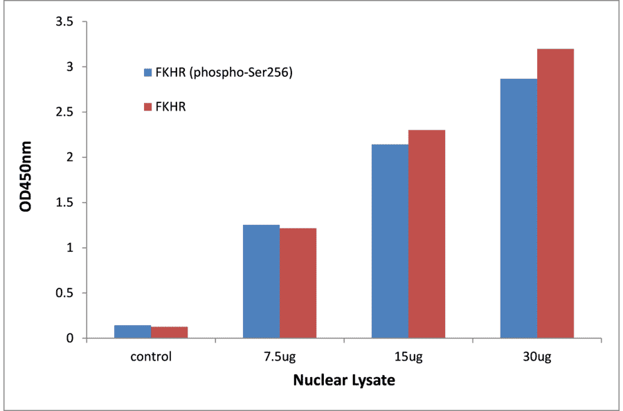 Validation Data - FOXO1 (phospho Ser256) ELISA Kit (TFE-7061) - Antibodies.com
