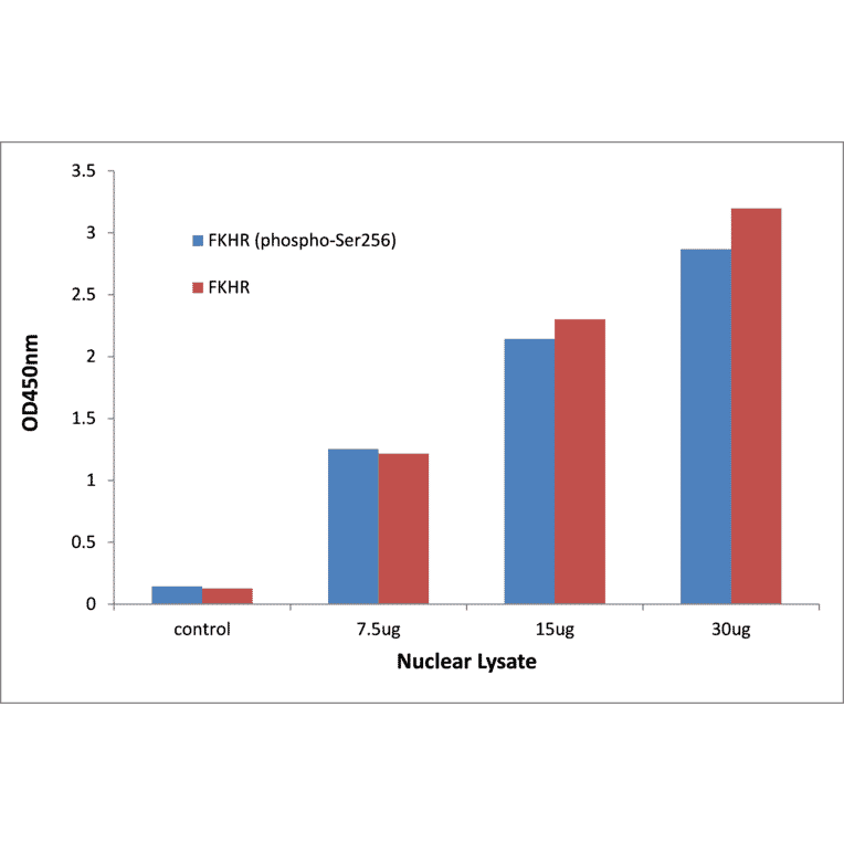 Validation Data - FOXO1 (phospho Ser256) ELISA Kit (TFE-7061) - Antibodies.com