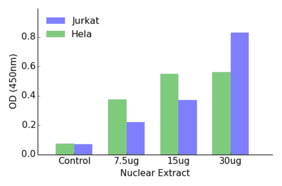 Validation Data - GATA1 (phospho Ser142) ELISA Kit (TFE-7073) - Antibodies.com