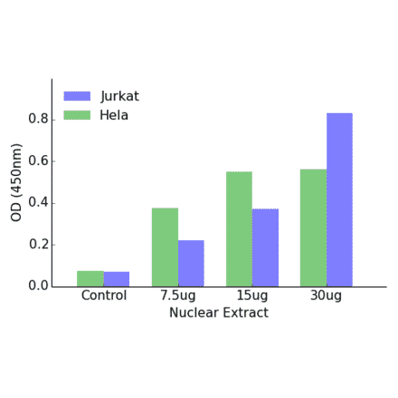 Validation Data - GATA1 (phospho Ser142) ELISA Kit (TFE-7073) - Antibodies.com